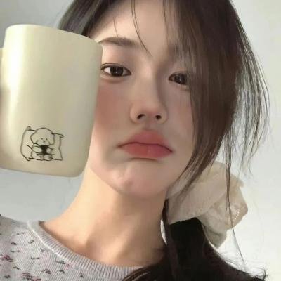 盗贼生涯